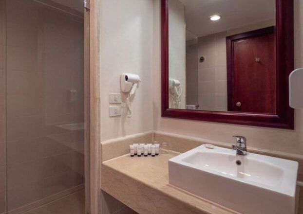 Standard-bathroom-1-vii-section-s-d--1024x640